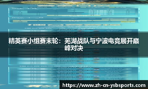 精英赛小组赛末轮:芜湖战队与宁波电竞展开巅峰对决
