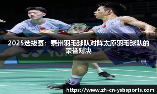 2025选拔赛:泰州羽毛球队对阵太原羽毛球队的荣誉对决